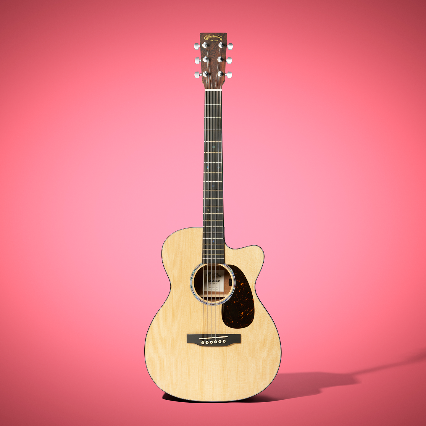 Front and back of a Martin X Series guitar Front and back of a Martin X Series guitar